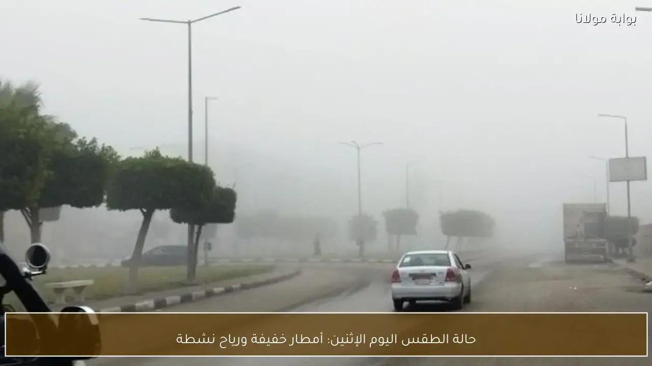 حالة الطقس الإثنين: أمطار خفيفة ورياح نشطة تسيطر على الأجواء في البلاد